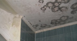 Плесень на потолке выглядит очень не эстетично.