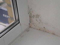 Как можно избавиться от сырости