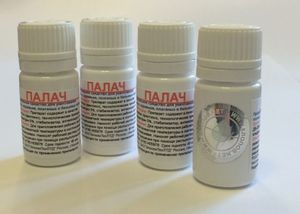 Избавиться от клопов сегодня достаточно просто.