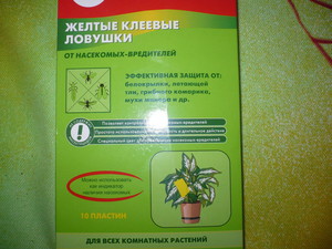 Как бороться с мошками в квартире